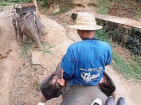 Elephant riding with teen couple who...