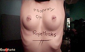 Dutch Dame Property Of Ropemarks...