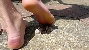 Barefoot mass snail crush candid big...