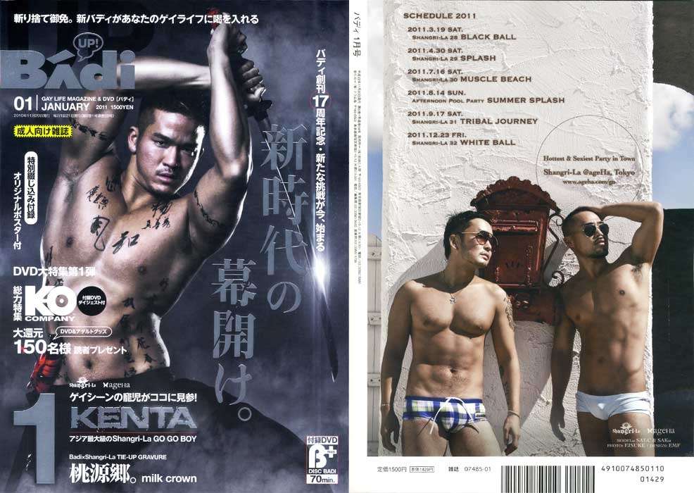Disc BAdi 2011-01