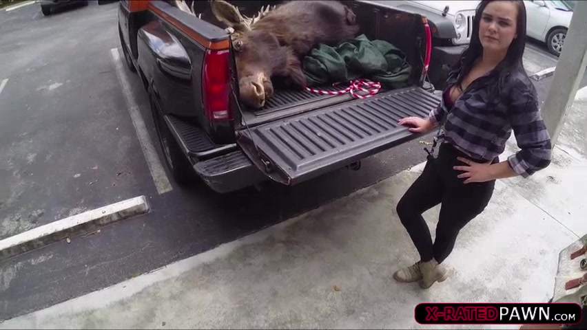 Moose head owners gets fucked hard after they pawn a moose head