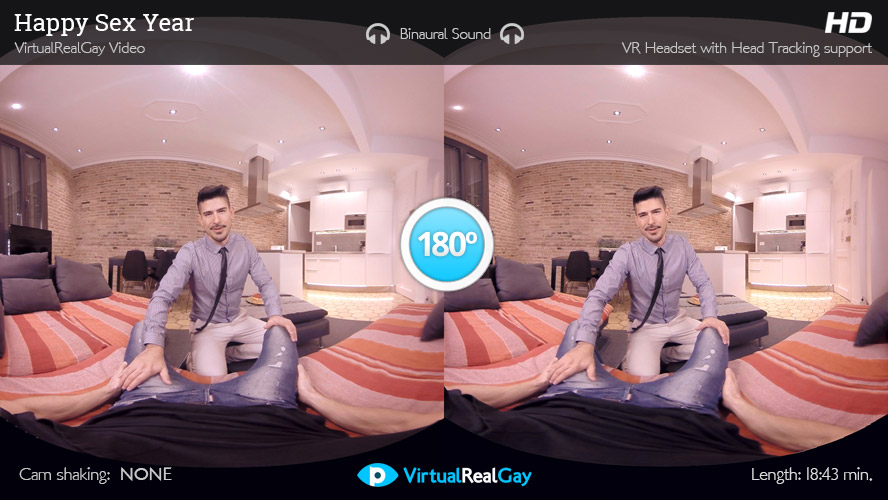 Happy Sex Year - Virtualrealgay