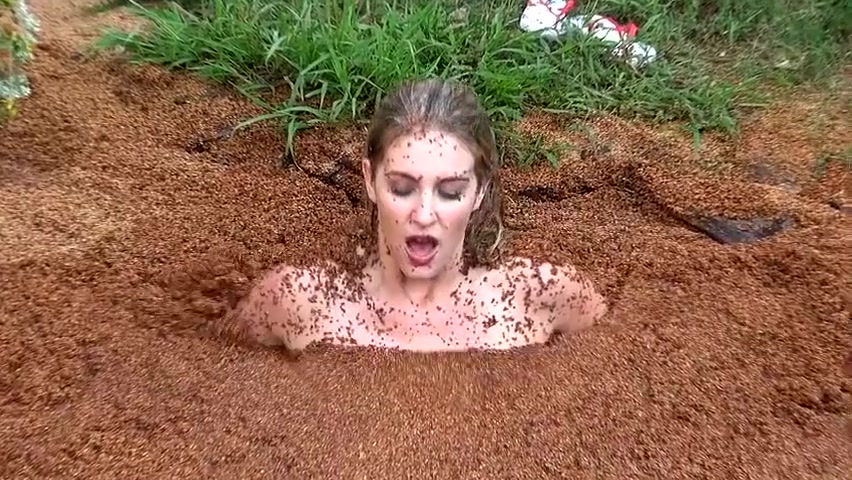 Quicksand Porn