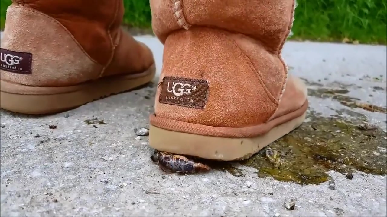 Ugg Boots Porn - Snail Crush in Ugg boots - Porn video | TXXX.com